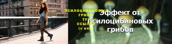 каннабис Магас