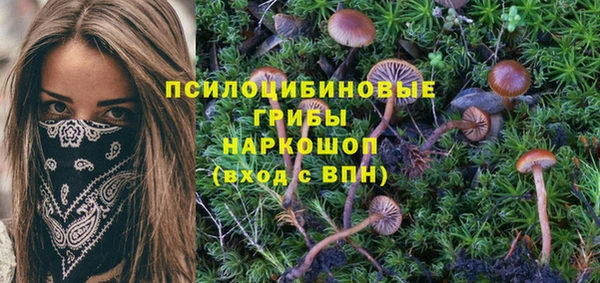мдпв Лихославль