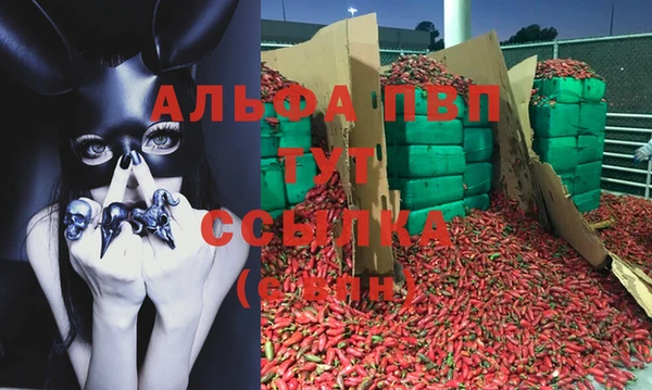 каннабис Магас