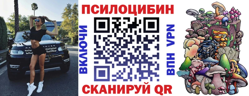купить   Новомосковск  Галлюциногенные грибы Psilocybe 