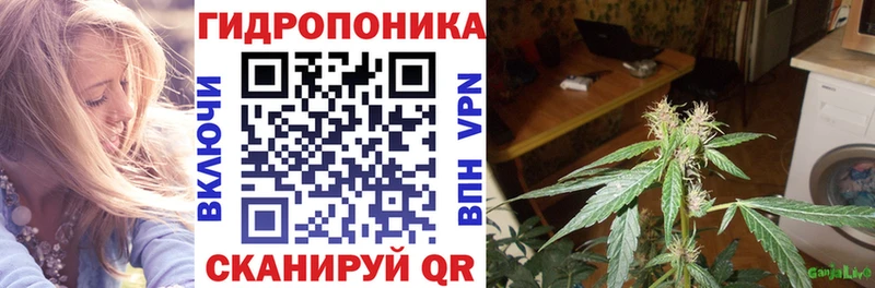купить наркотик  Новомосковск  Каннабис индика 
